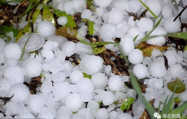 岁月如歌 | 我在海北的八年