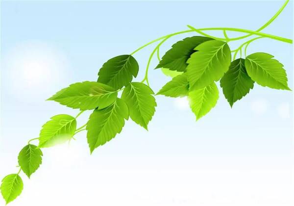 3EC6BA6E6C61C5E3DB0EB5A2326739AD1D46C38D_size42_w1000_h700.jpeg