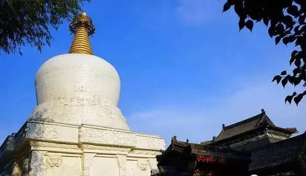 抖音被沈阳承包了!千万点击的视频美翻大江