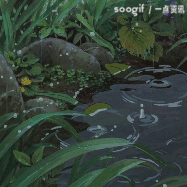 动态雨滴电脑桌面壁纸_雨滴桌面动态人物_雨滴桌面设置动态壁纸