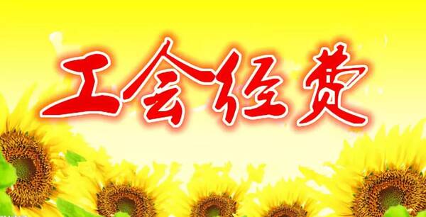 《山东省基层工会经费收支管理实施细则(试行)》