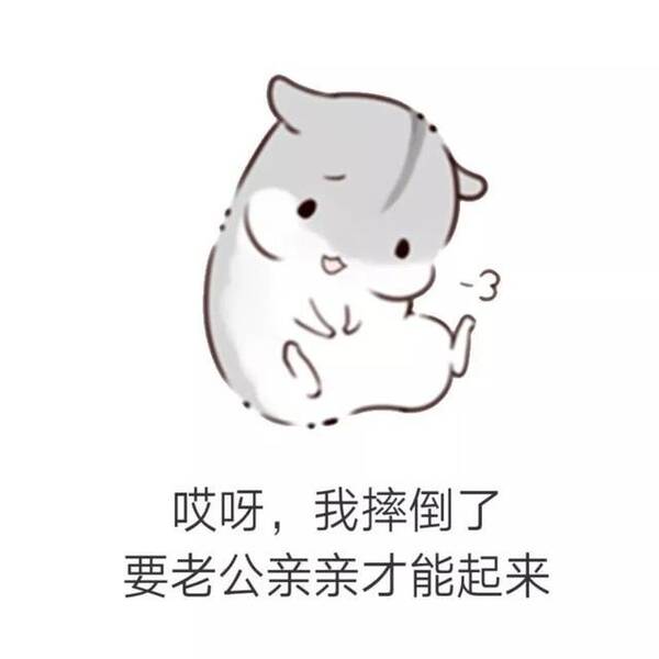 哄男朋友的表情包分享展示