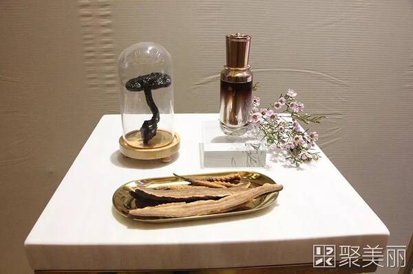 消费升级 名门闺秀要开创属于它的大时代