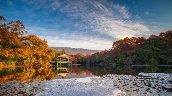 2018南京各区GDP新鲜出炉,江宁竟然是…