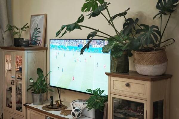 AI加持的超画质电视,原来世界杯可以这样看!