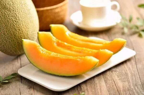 豫哈情丝路行,从哈密到洛阳只有一颗哈密瓜的