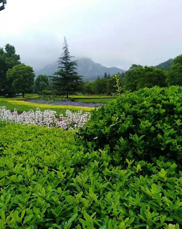 【融媒逛登封】登封的美可以用5个英文词语概