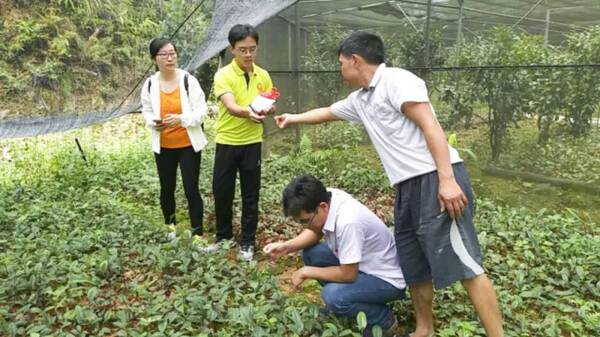 2018年百名博士防城港行集结号吹响,共扬发