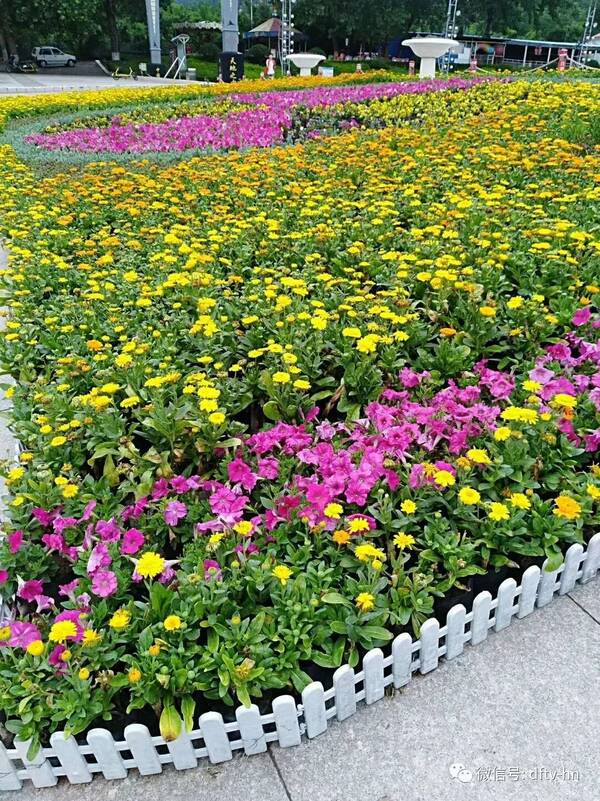 【融媒逛登封】登封的美可以用5个英文词语概