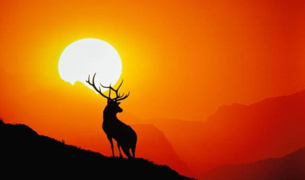 超厉害的几个改运方法,改运气最快的几个方法