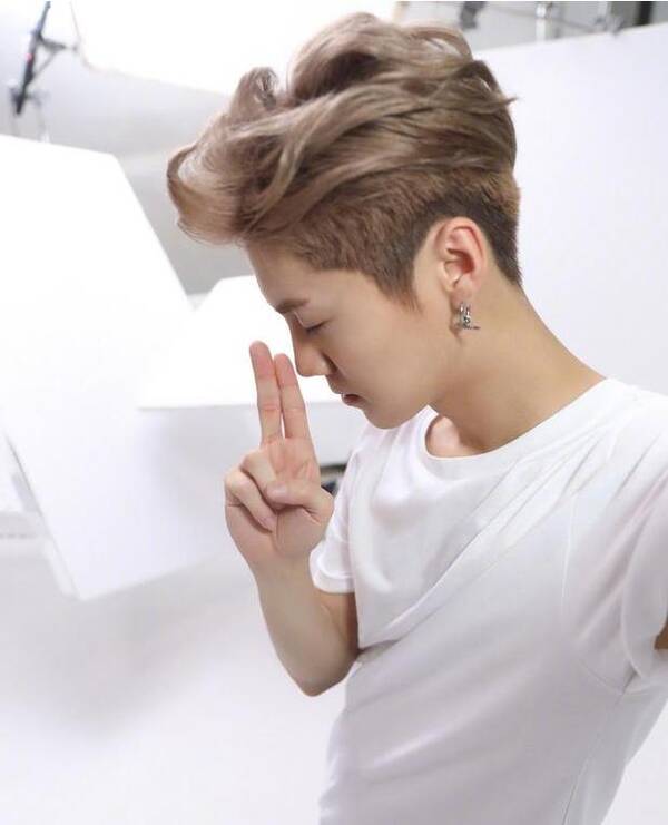 鹿晗成功预测法国夺得世界杯冠军,原来外表柔