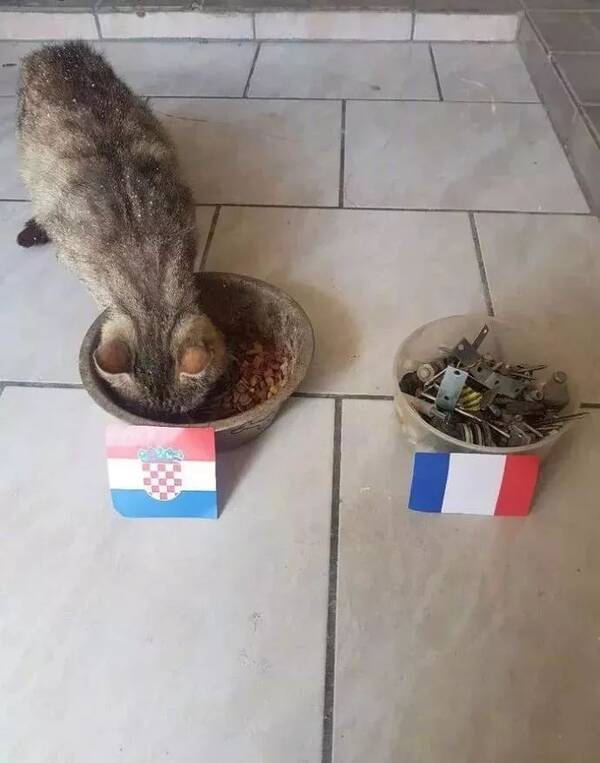 【追球】双杀英格兰!比利时收获季军 创队史世