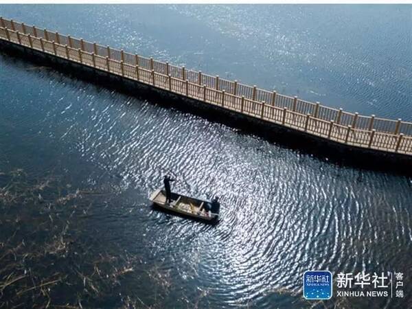 实施白洋淀生态修复,雄安大动作不断!雄安新区