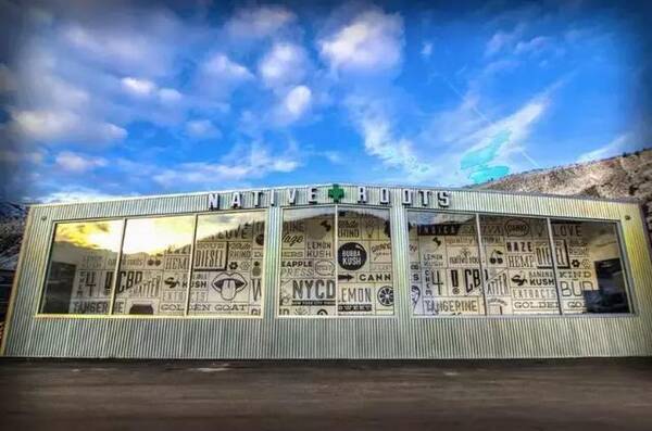 走着瞧!2026年世界杯举办国大麻都合法!