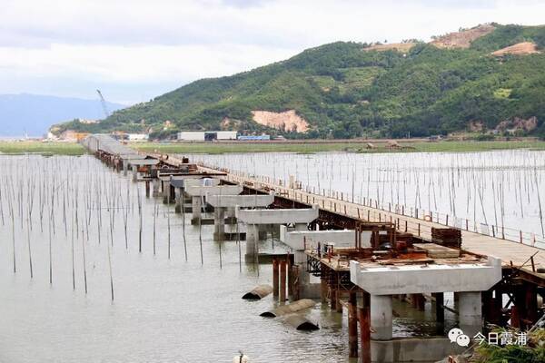 霞 浦:一线勇担当 展现新作为