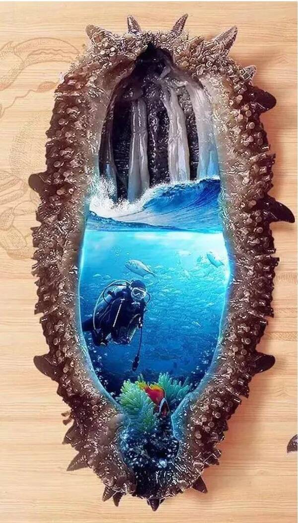 震惊!海参内幕大曝光,业界良心值得一看!