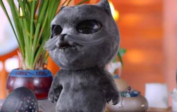 影视剧中的萌宠,糖宝、胡巴、小白,哪只想牵回