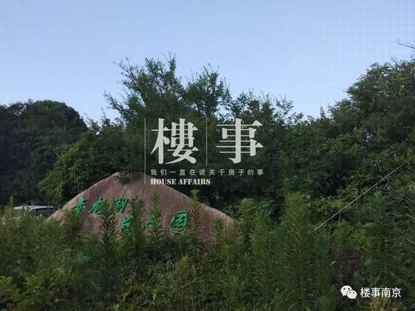 独家|泰禾青龙湖项目工程停摆 售楼处别墅已荒