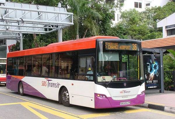 新加坡女乘客骂中国巴士司机,你们说谁对谁错
