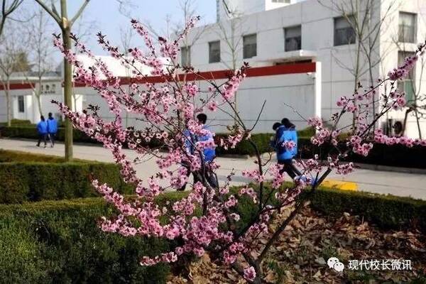 【数字与精神10】运城中学2018年高考成绩再