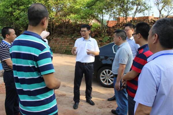 龙泉驿区委常委、组织部长张之湘到洪安镇检查