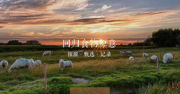 一书记】市政府蛤蜊与外事办公室派驻高唐县杨侨务粉怎么吃图片