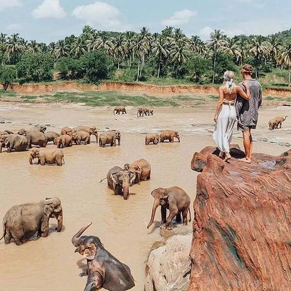 《黑象2》揭世界网红景点惊天骗局,一面美妙到