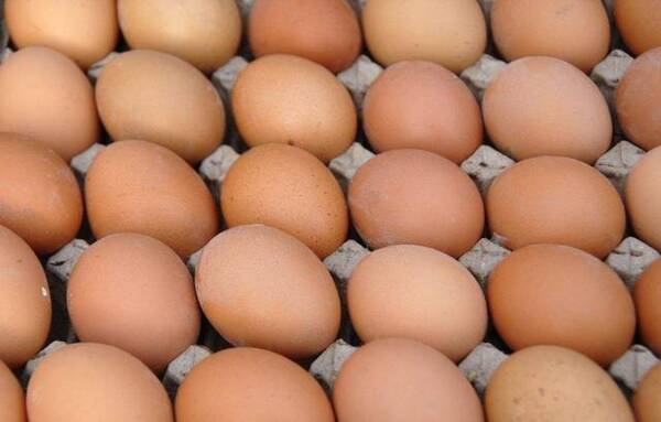 激素脸可以吃鸡蛋吗?