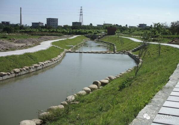 中共泉港区委 泉港区人民政府 关于实施乡村振