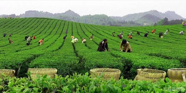 带您走进黔北重镇--永兴