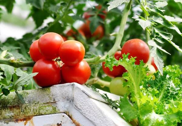 早安语录语句 早安唯美语录配图片