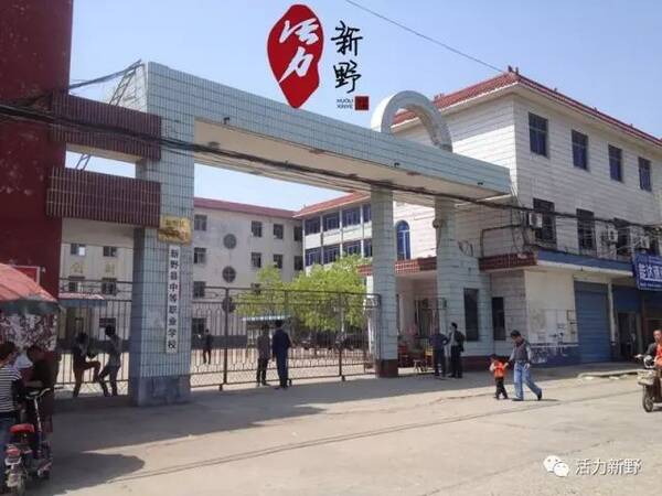 【中招特刊】新野中招录取分数线出炉!快看你