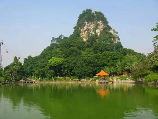 牛X!这一数据,柳州连续两季度排名广西第一!果