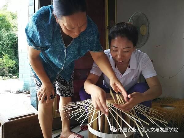 实践成长 | 百名师生乡村振兴系列调研(一)