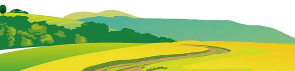 坚持美丽乡村建设政府投入与