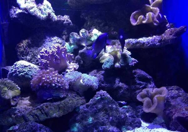 吖咪态度旅游丨夏洛特烦恼、西虹市首富里的西