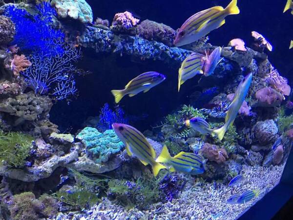 吖咪态度旅游丨夏洛特烦恼、西虹市首富里的西