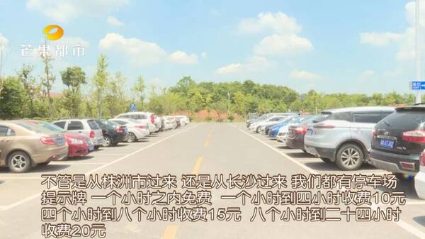 株洲云龙水上乐园保安私收停车费,游客质问:谁