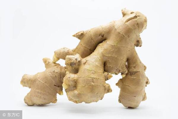 52种作用药引子,真的很有清水!民间发鱿鱼可以吗?图片