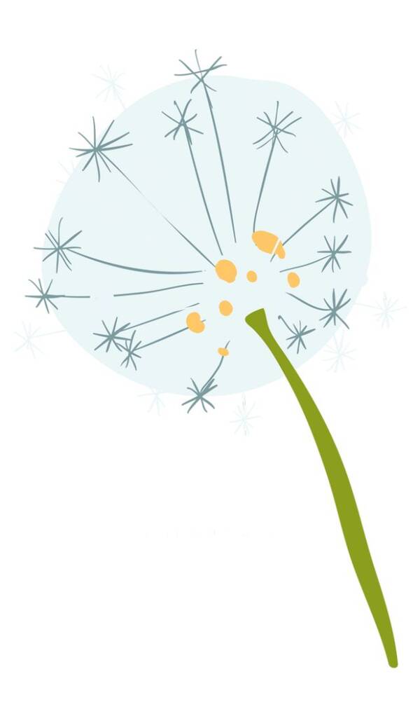 沧州一贫困生写给暖伞志愿者协会的一封信