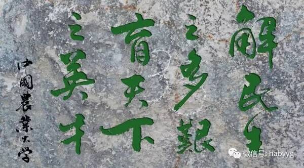 泌阳一高今年高考到底咋样?这里一系列事实说