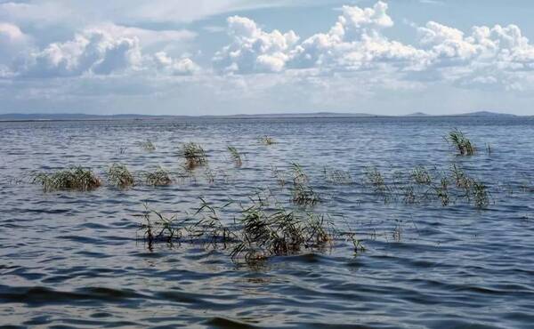 大嘴巴阵地丨《后来的我们》初恋般的美好,来