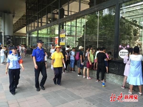 城管走进北京动物园劝阻投喂动物行为 黑熊羊