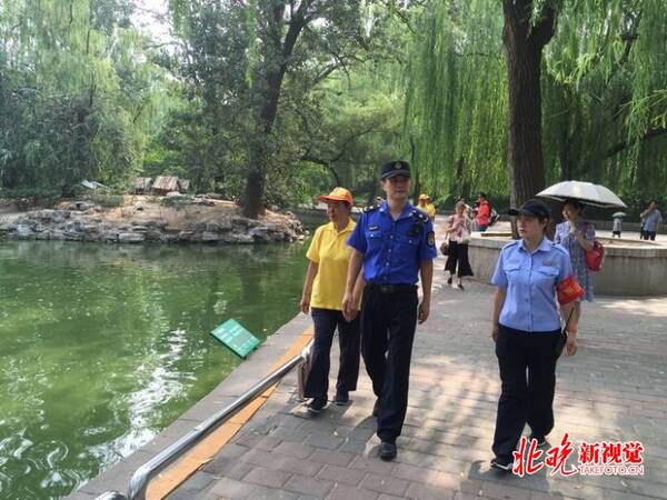 城管走进北京动物园劝阻投喂动物行为 黑熊羊