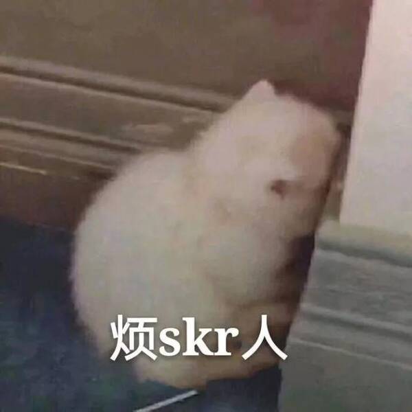 吴亦凡爱说的这个skr,到底skr啥意思?