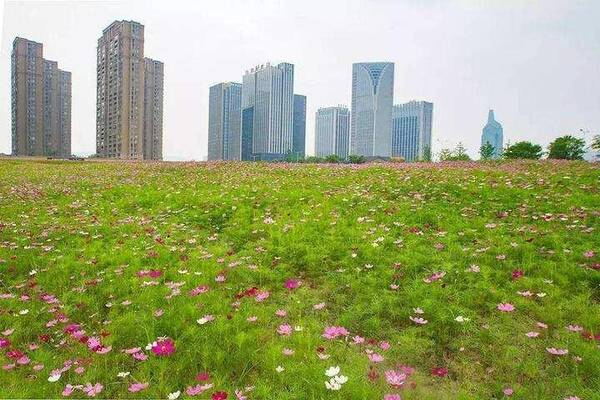 全国土地新政:闲置土地将拖累一省新增建设用