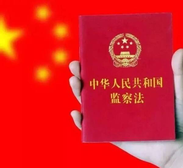 【廉业务】对监察机关及其工作人员违法行使职