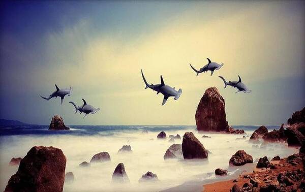 股权类私募基金管理人投资不良资产要点及交易