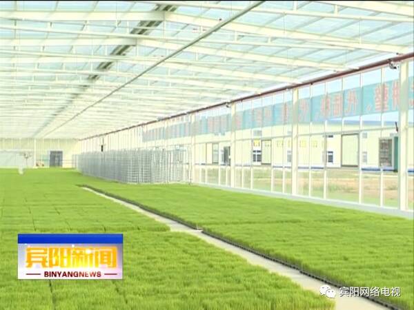 宾阳县全面推进农业农村现代化 助力乡村振兴