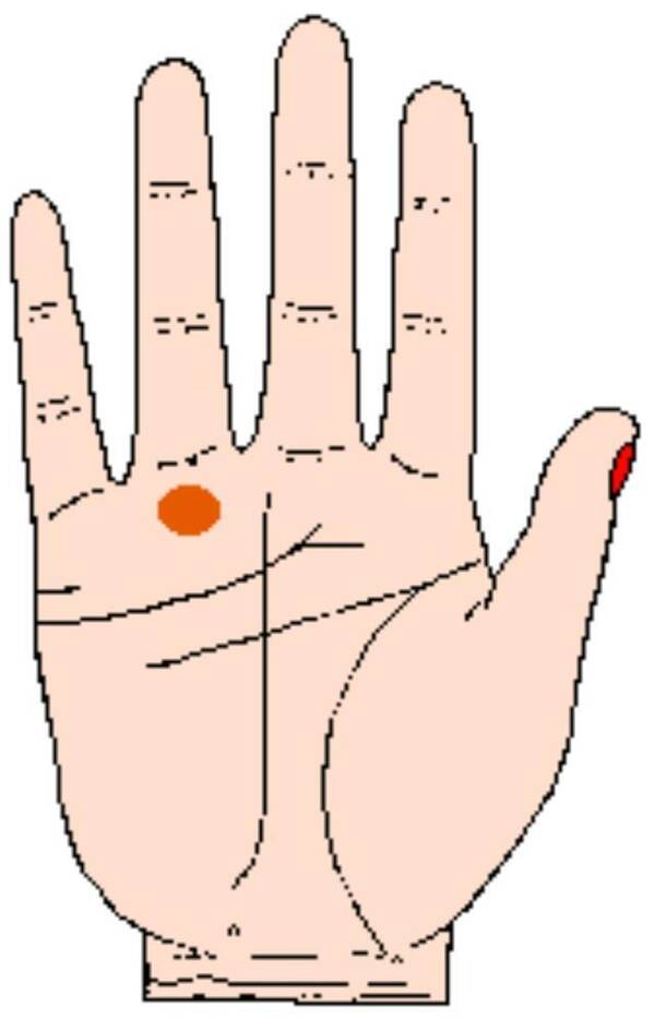 秒懂手相:从太阳丘水星丘月丘看性格特点